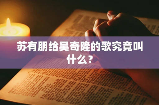 苏有朋给吴奇隆的歌究竟叫什么？