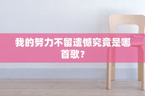 我的努力不留遗憾究竟是哪首歌？