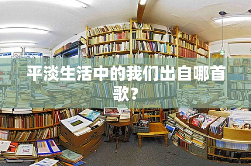 平淡生活中的我们出自哪首歌？