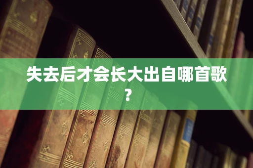 失去后才会长大出自哪首歌？