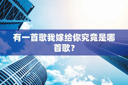 有一首歌我嫁给你究竟是哪首歌？