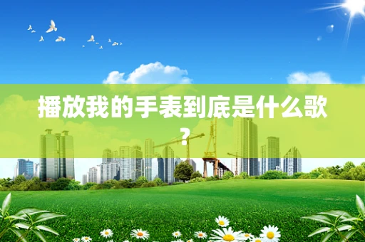 播放我的手表到底是什么歌？