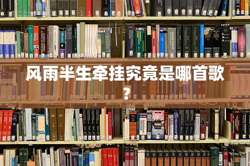 风雨半生牵挂究竟是哪首歌？