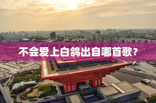 不会爱上白鸽出自哪首歌？