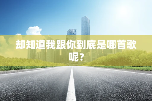 却知道我跟你到底是哪首歌呢？