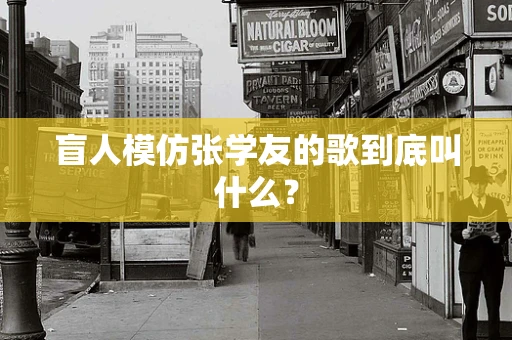 盲人模仿张学友的歌到底叫什么？
