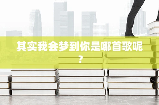 其实我会梦到你是哪首歌呢？