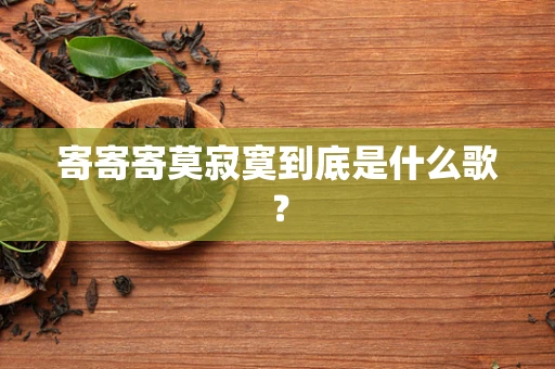 寄寄寄莫寂寞到底是什么歌？