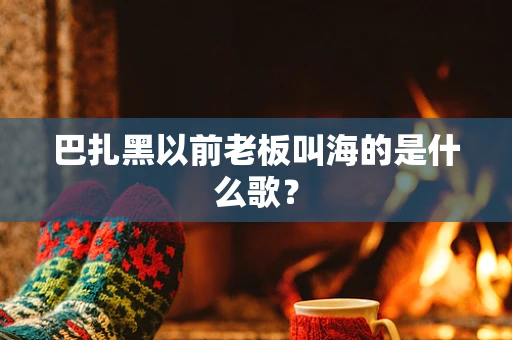 巴扎黑以前老板叫海的是什么歌？