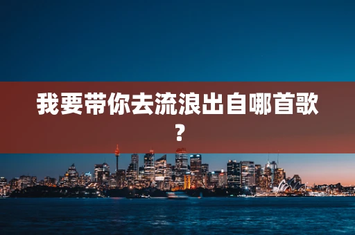 我要带你去流浪出自哪首歌？