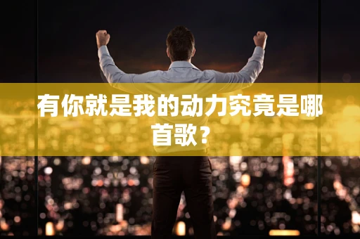 有你就是我的动力究竟是哪首歌？
