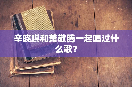 辛晓琪和萧敬腾一起唱过什么歌？