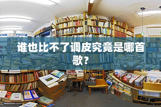 谁也比不了调皮究竟是哪首歌？