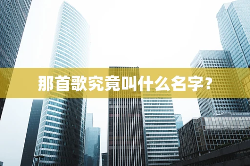 那首歌究竟叫什么名字？