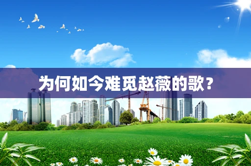 为何如今难觅赵薇的歌？
