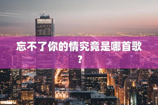 忘不了你的情究竟是哪首歌？