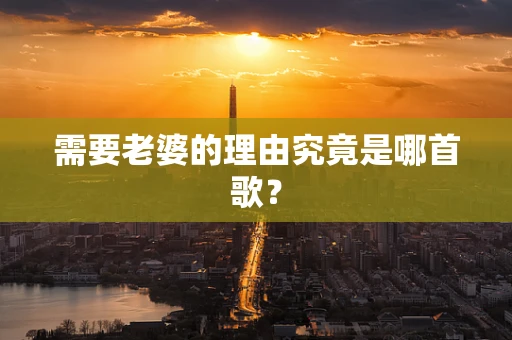 需要老婆的理由究竟是哪首歌？
