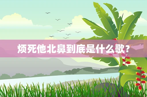 烦死他北鼻到底是什么歌？