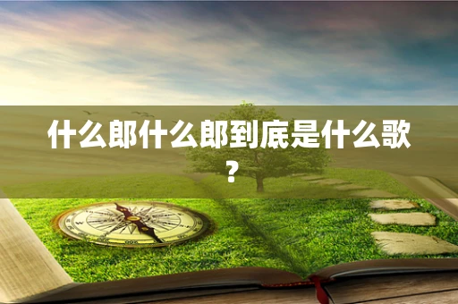 什么郎什么郎到底是什么歌？