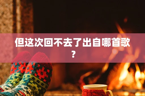 但这次回不去了出自哪首歌？