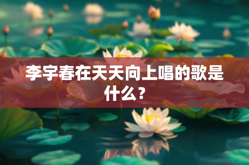 李宇春在天天向上唱的歌是什么？