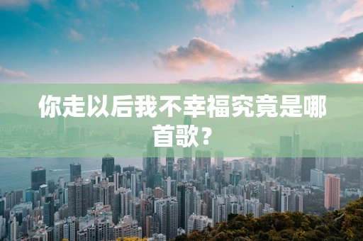 你走以后我不幸福究竟是哪首歌？