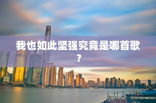 我也如此坚强究竟是哪首歌？
