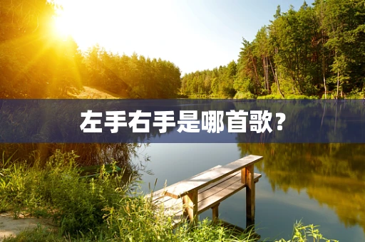 左手右手是哪首歌？