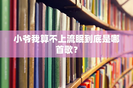 小爷我算不上流眠到底是哪首歌？