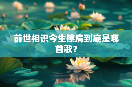 前世相识今生擦肩到底是哪首歌？