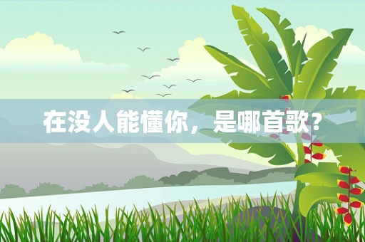在没人能懂你，是哪首歌？
