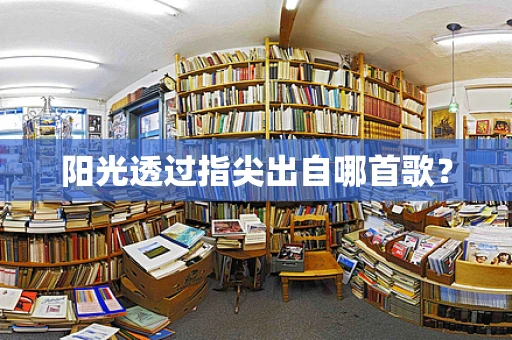 阳光透过指尖出自哪首歌？