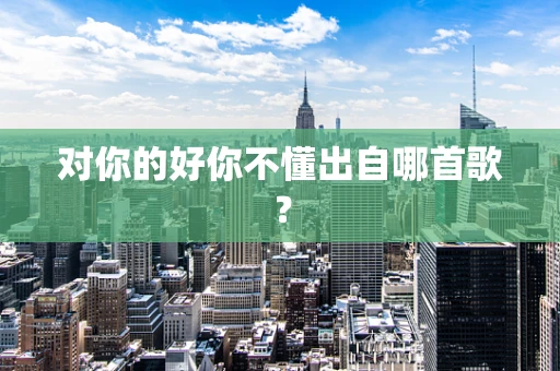 对你的好你不懂出自哪首歌？