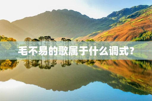 毛不易的歌属于什么调式？