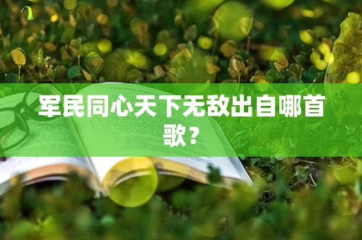 军民同心天下无敌出自哪首歌？