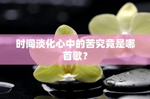时间淡化心中的苦究竟是哪首歌？