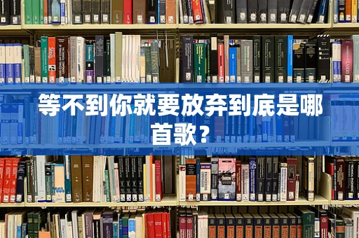 等不到你就要放弃到底是哪首歌？