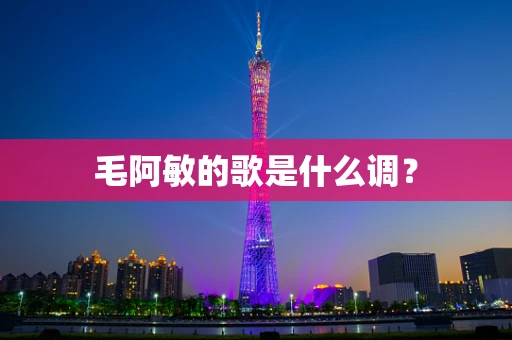 毛阿敏的歌是什么调？