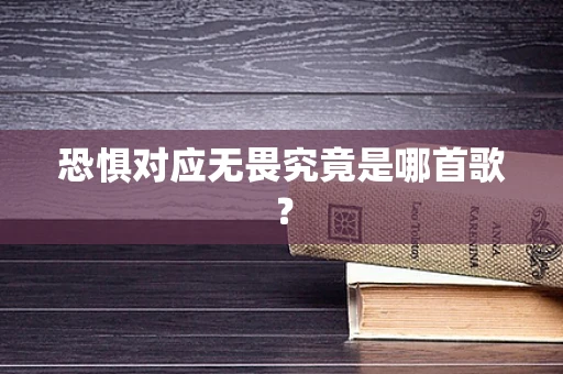 恐惧对应无畏究竟是哪首歌？