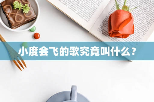 小度会飞的歌究竟叫什么？