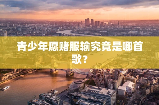 青少年愿赌服输究竟是哪首歌？