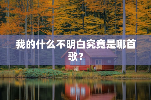 我的什么不明白究竟是哪首歌？