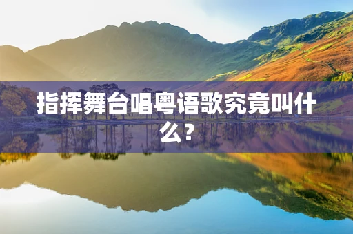 指挥舞台唱粤语歌究竟叫什么？