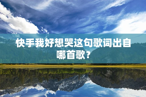 快手我好想哭这句歌词出自哪首歌？