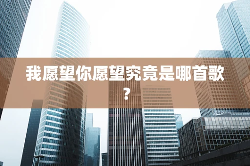 我愿望你愿望究竟是哪首歌？