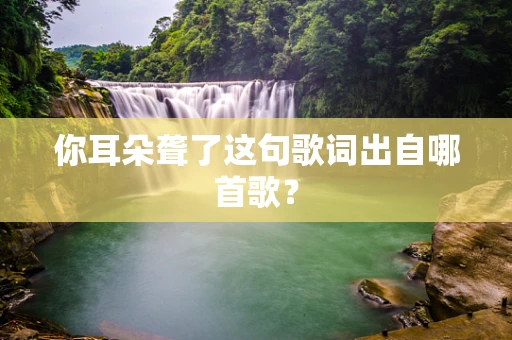 你耳朵聋了这句歌词出自哪首歌？