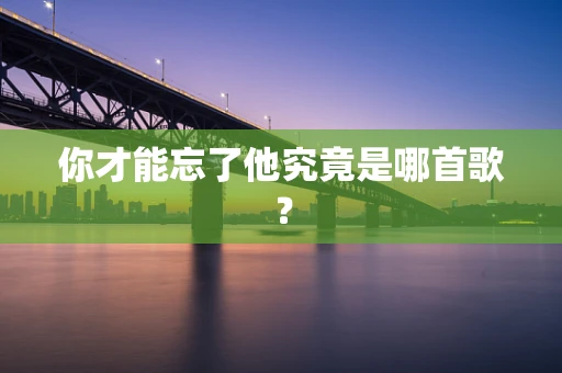 你才能忘了他究竟是哪首歌？