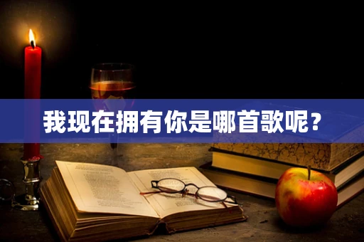 我现在拥有你是哪首歌呢？