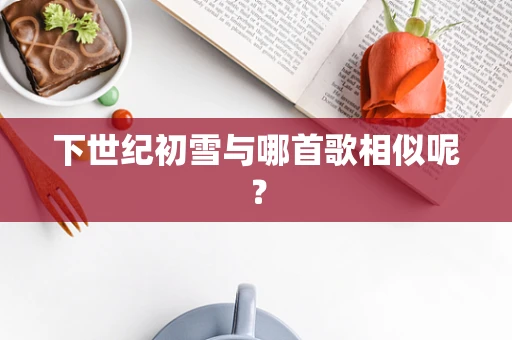 下世纪初雪与哪首歌相似呢？
