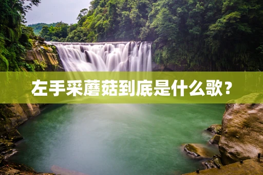 左手采蘑菇到底是什么歌？